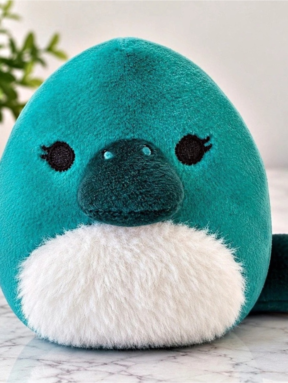 Squishmallows Teal Platypus 5” Fuzzy White Belly Jazwares 2024 Plush